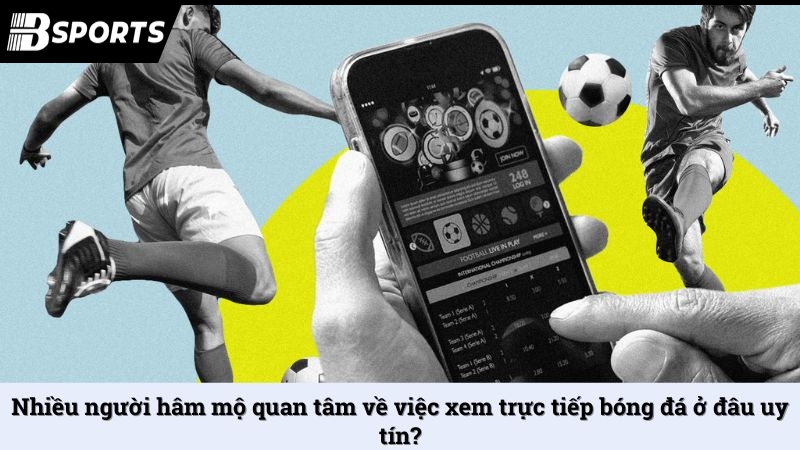 Xem trực tiếp bóng đá ở đâu nhanh, mượt và đặt cược được? - Kipg
