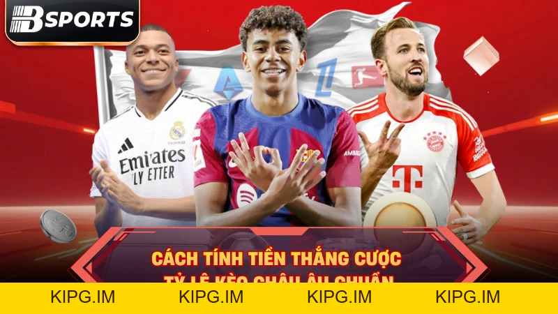 Tỷ Lệ Cược Kèo Châu Âu Cả Trận: Hướng Dẫn Soi Kèo Hiệu Quả - Kipg