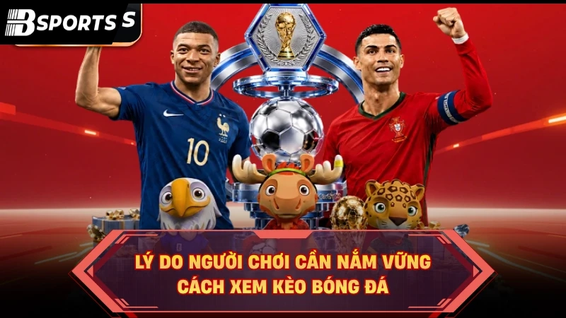 Cách Xem Kèo Bóng Đá: Bí Thuật Bắt Bài Nhà Cái Luôn Thắng - Kipg